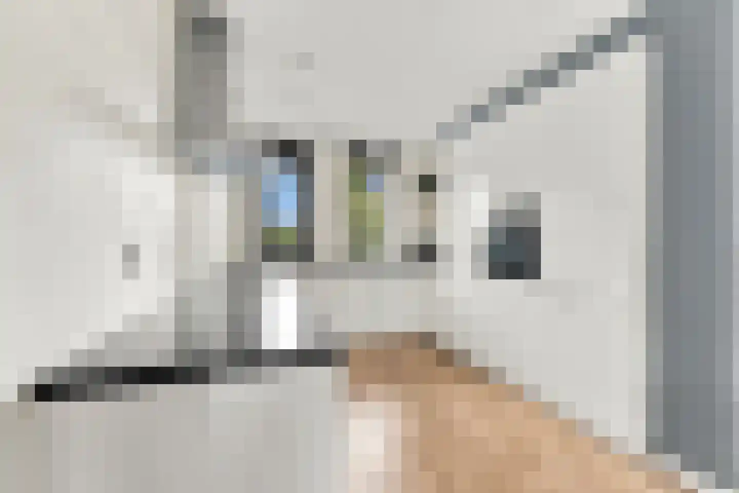 Stenen Kamer 28 Alblasserdam thumbnail 17