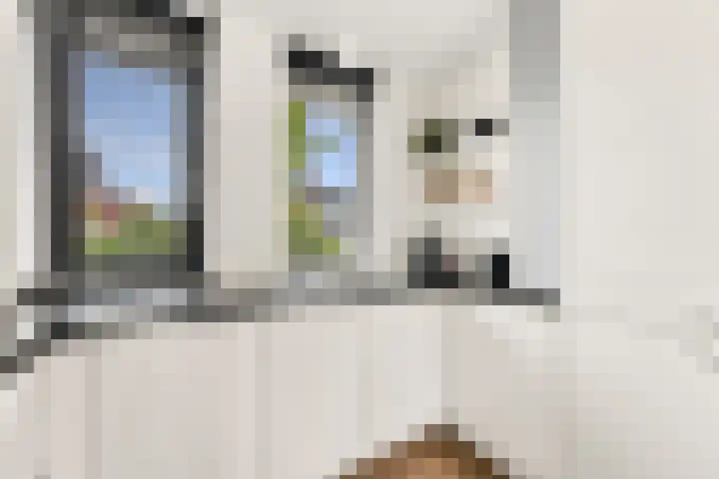 Stenen Kamer 28 Alblasserdam thumbnail 20