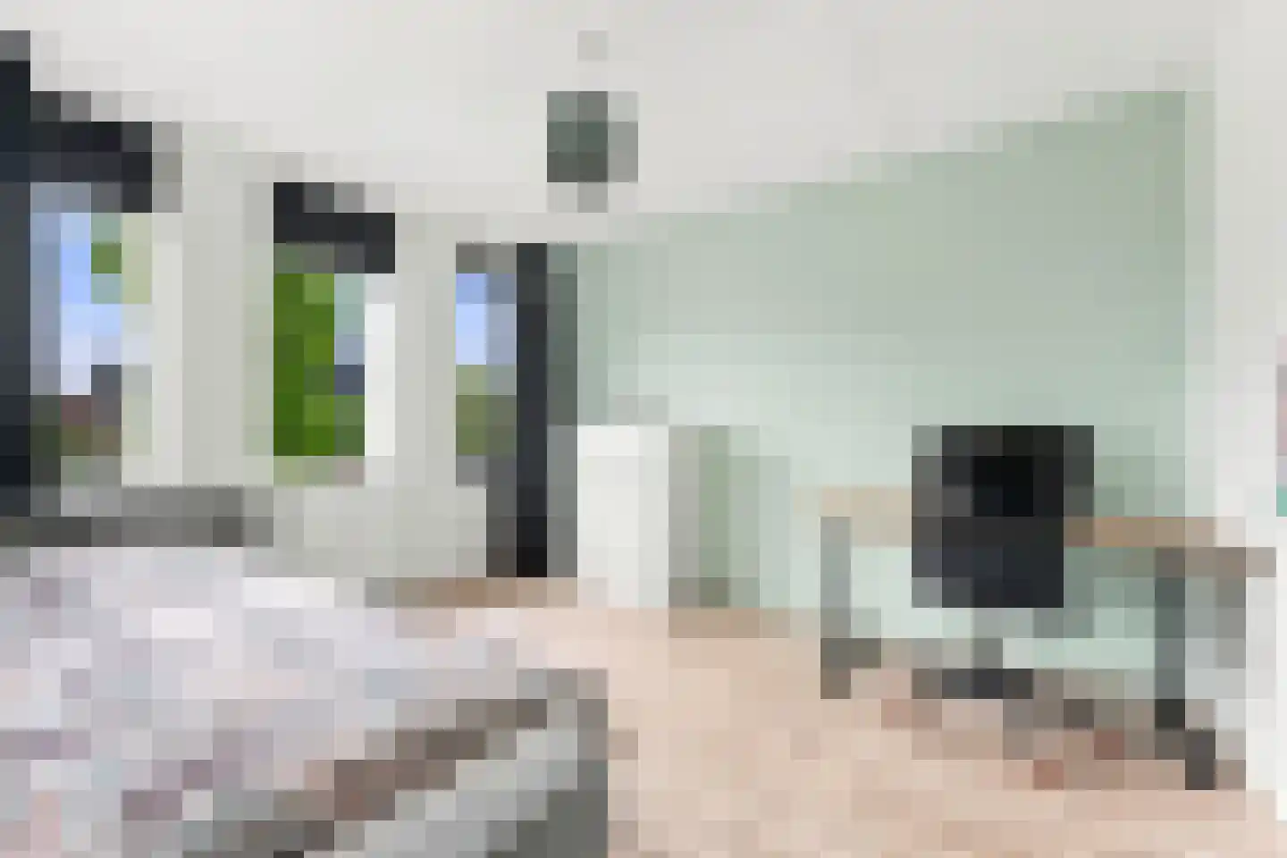 Stenen Kamer 28 Alblasserdam thumbnail 27