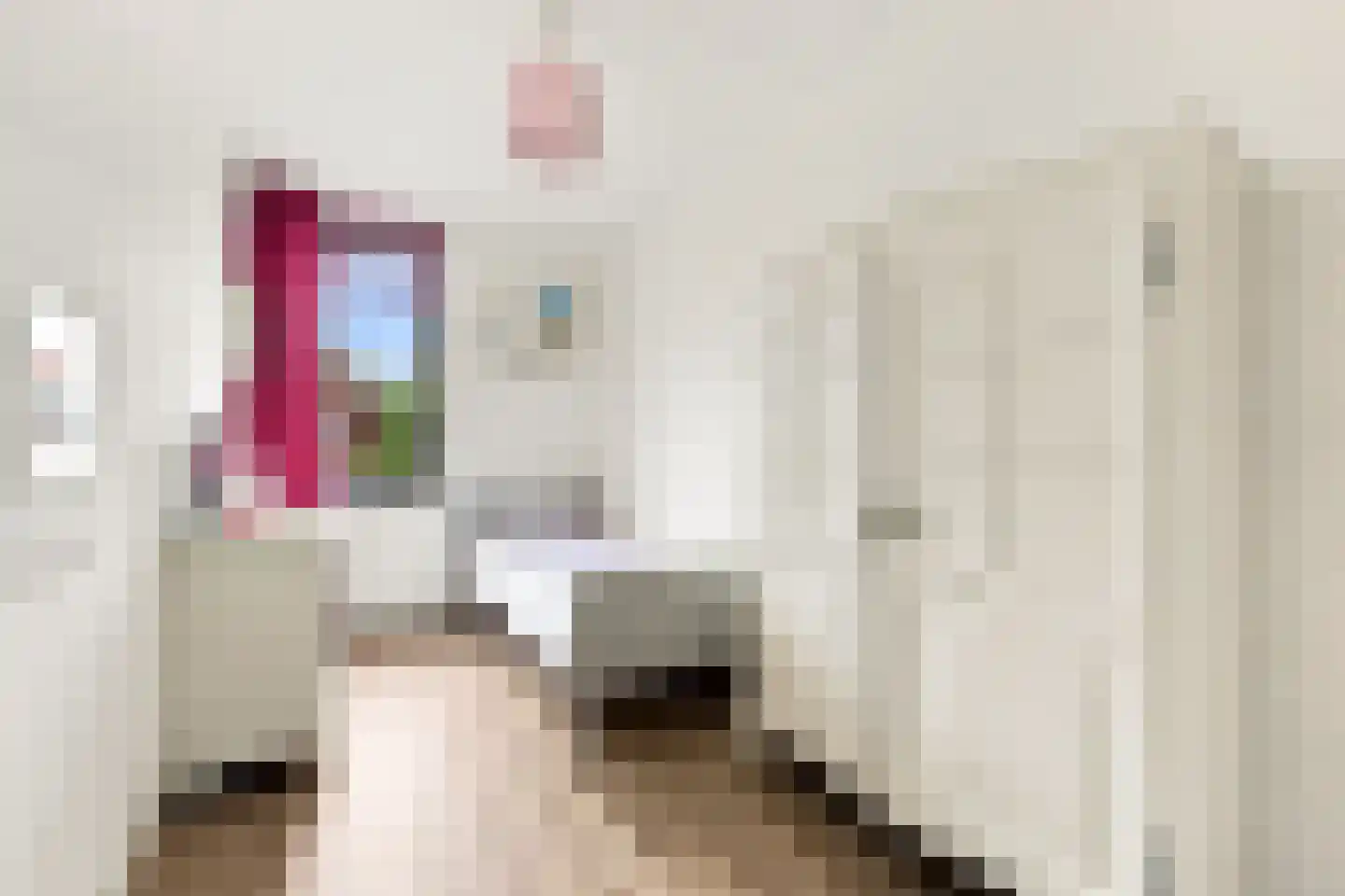 Stenen Kamer 28 Alblasserdam thumbnail 29