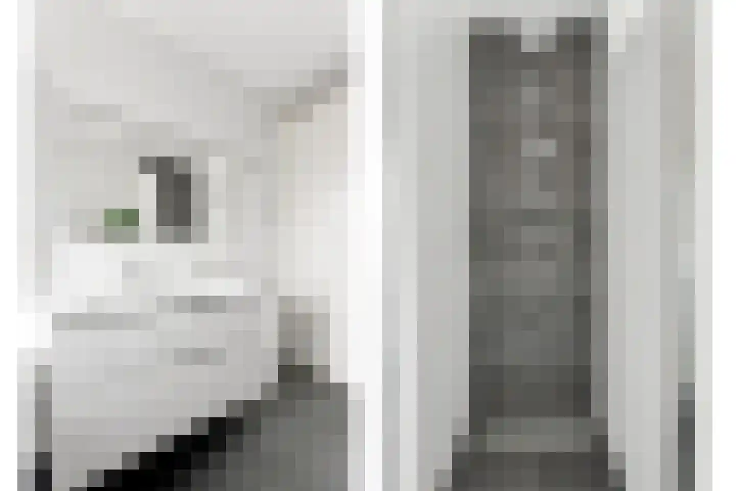 Stenen Kamer 28 Alblasserdam thumbnail 32
