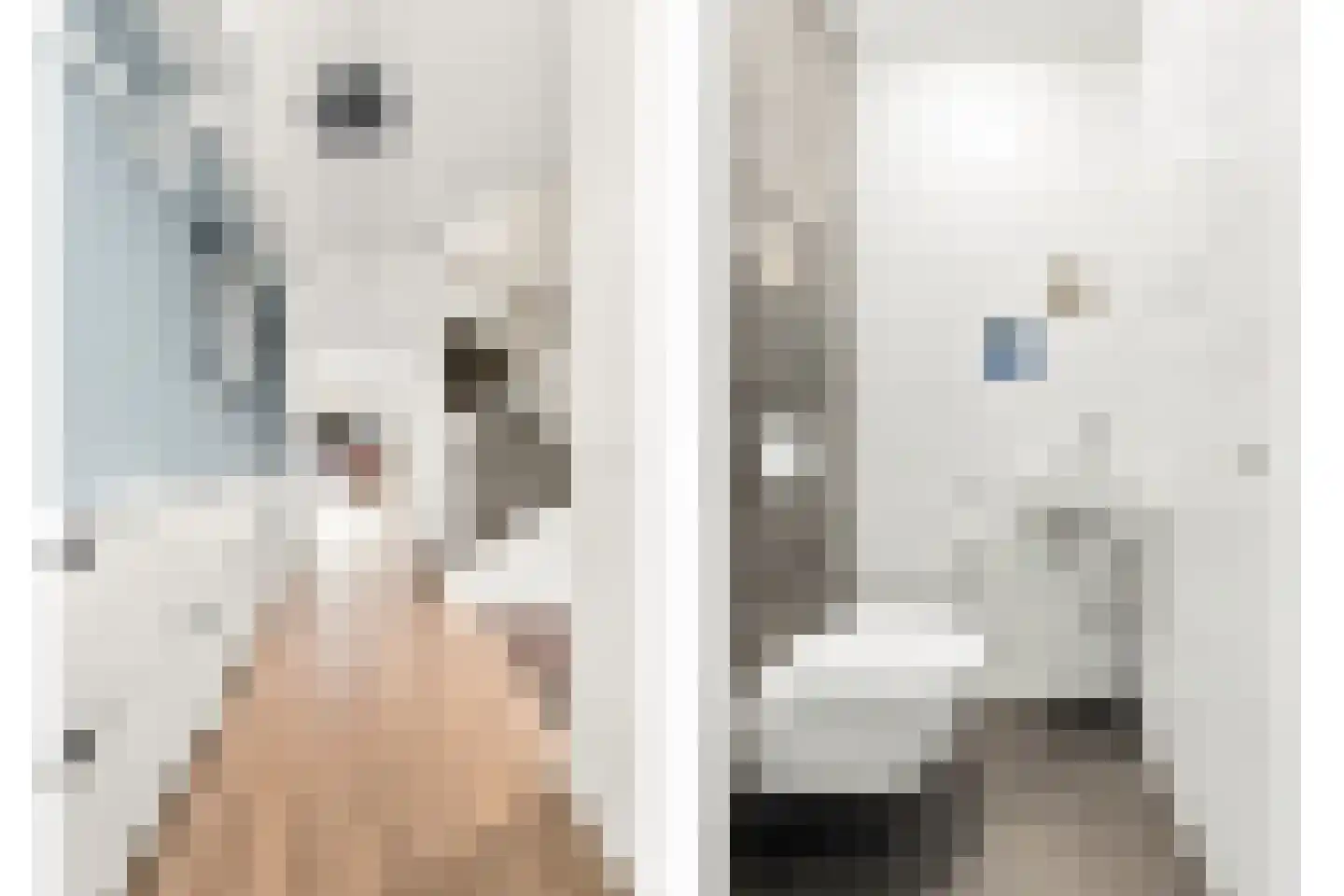 Stenen Kamer 28 Alblasserdam thumbnail 4