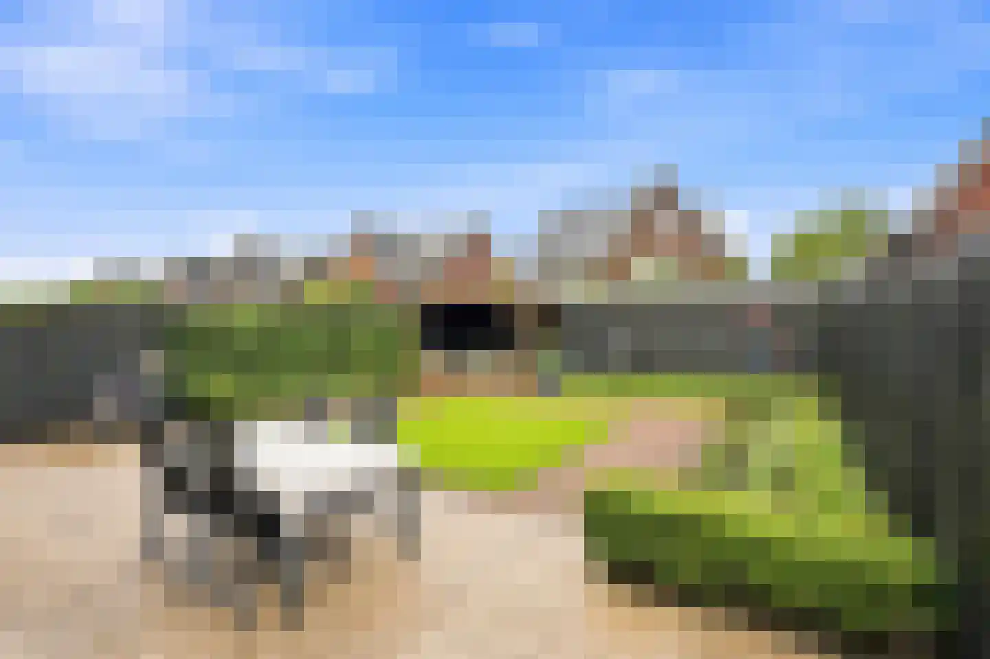 Stenen Kamer 28 Alblasserdam thumbnail 43