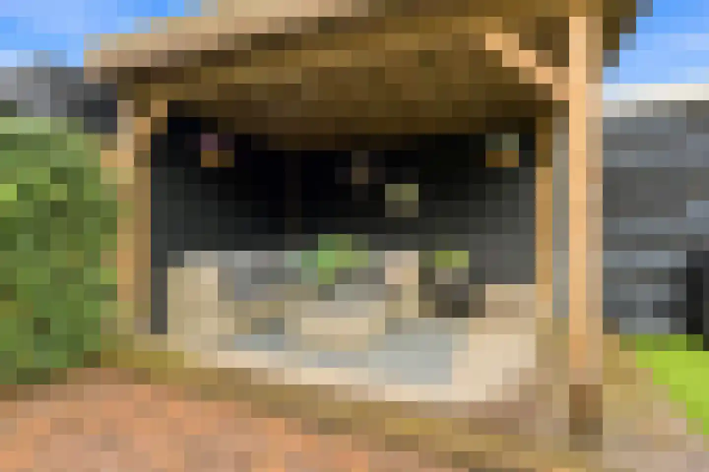 Stenen Kamer 28 Alblasserdam thumbnail 47