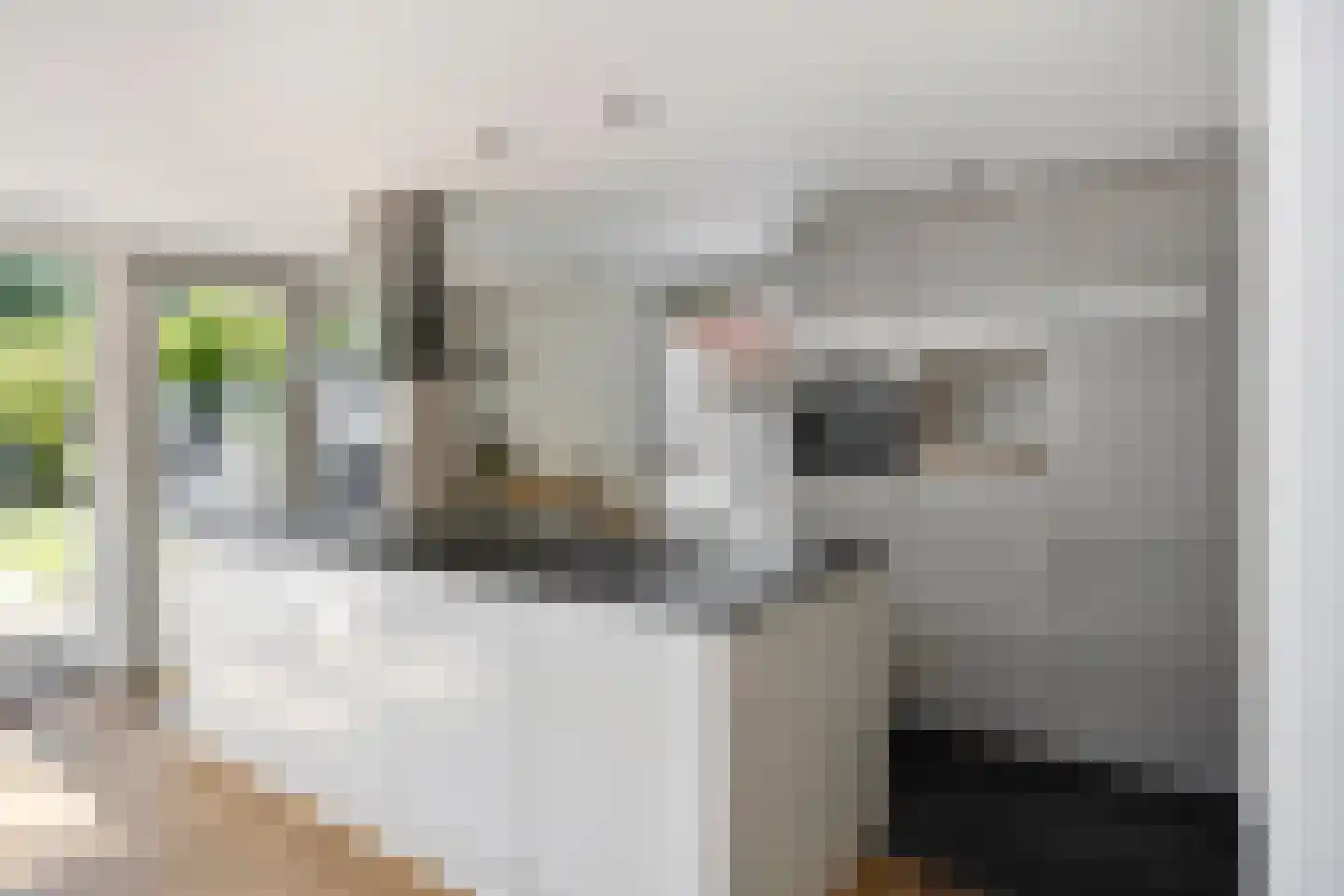 Stenen Kamer 6 Boxtel thumbnail 16