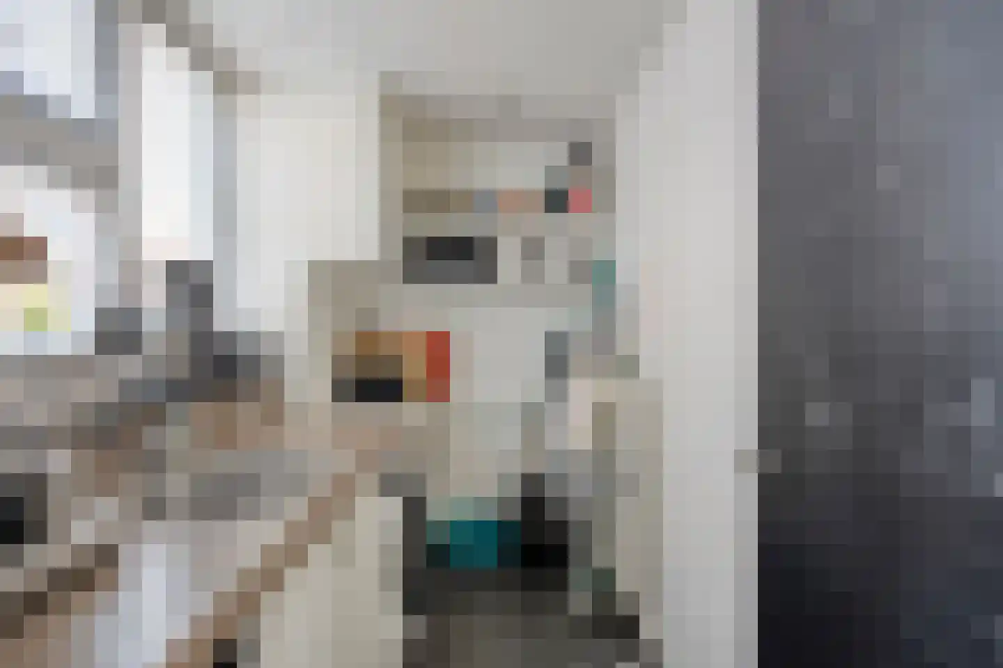 Stenen Kamer 6 Boxtel thumbnail 19