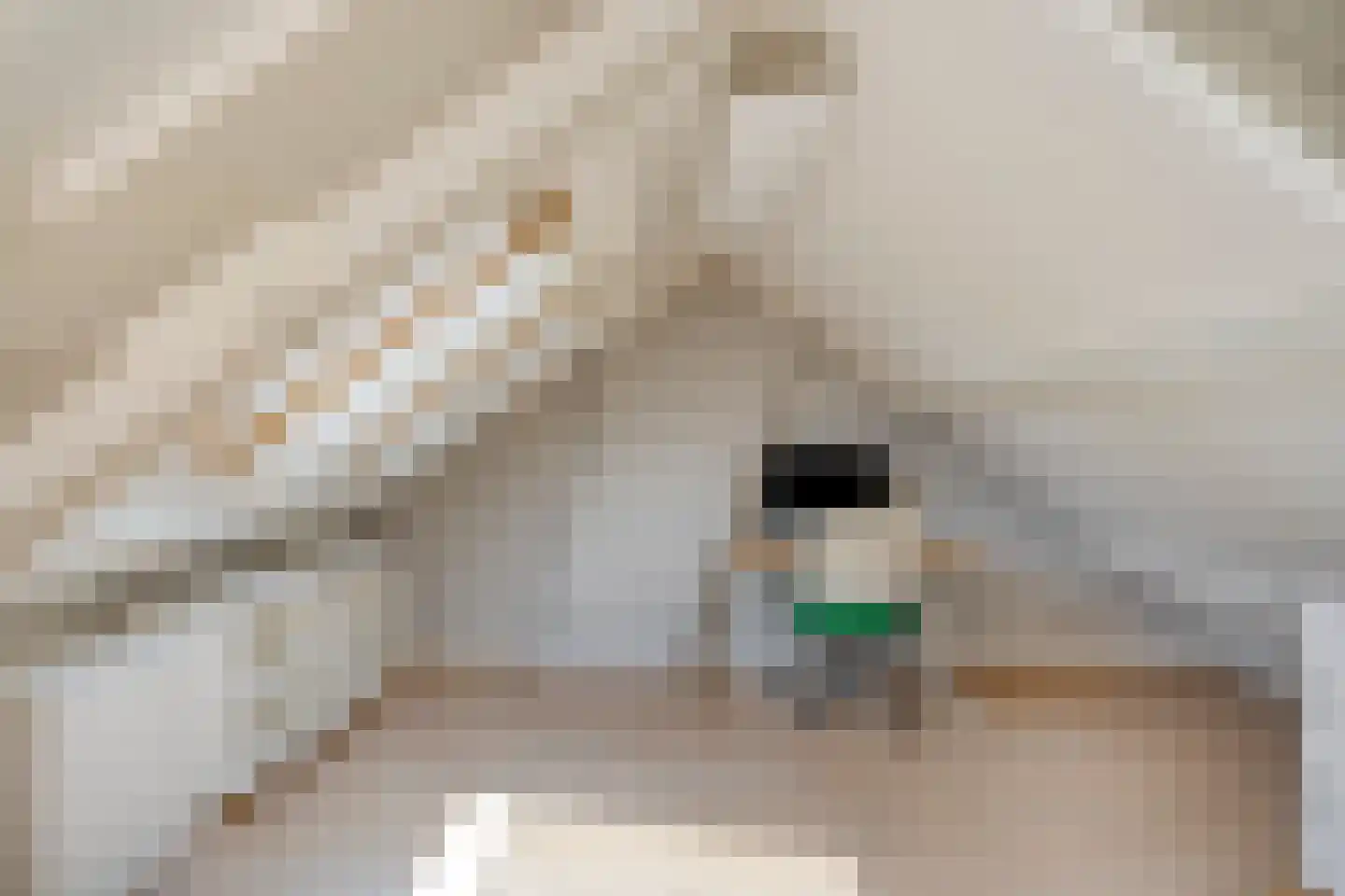 Stenen Kamer 6 Boxtel thumbnail 26