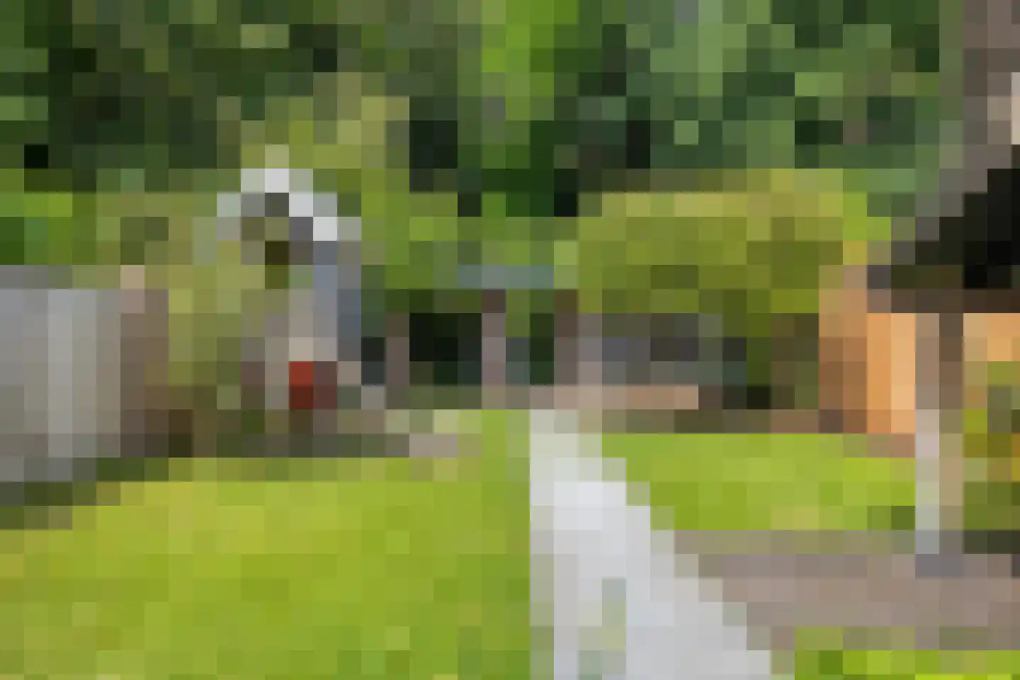 Stenen Kamer 6 Boxtel thumbnail 27