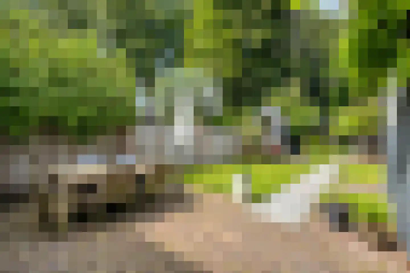 Stenen Kamer 6 Boxtel thumbnail 28