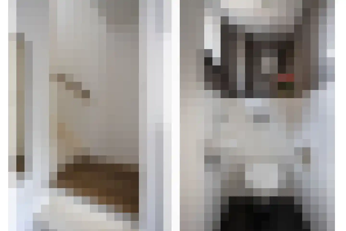 Stenen Kamer 6 Boxtel thumbnail 5