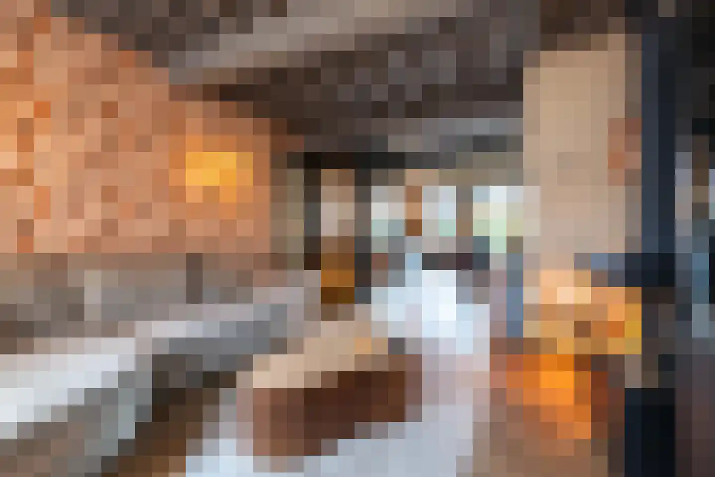 Stenenbeer 11 Vlissingen thumbnail 10
