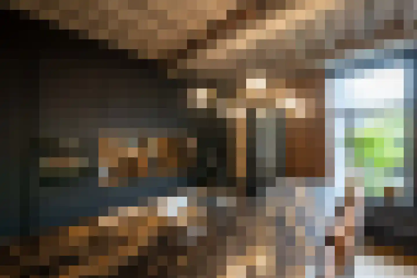 Stenenbeer 11 Vlissingen thumbnail 15