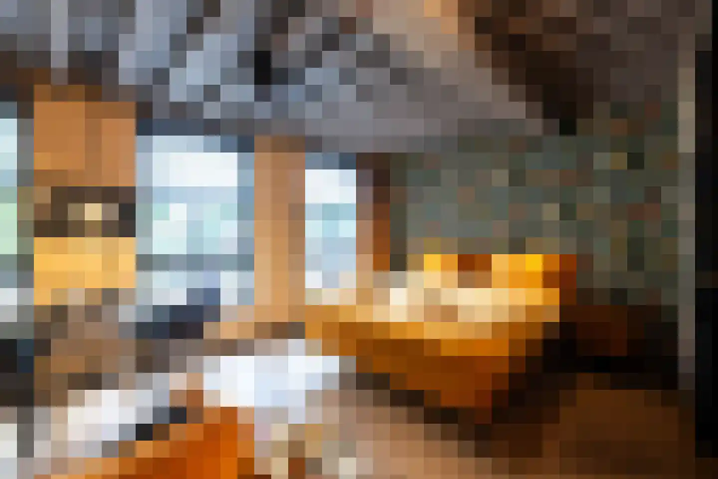 Stenenbeer 11 Vlissingen thumbnail 35