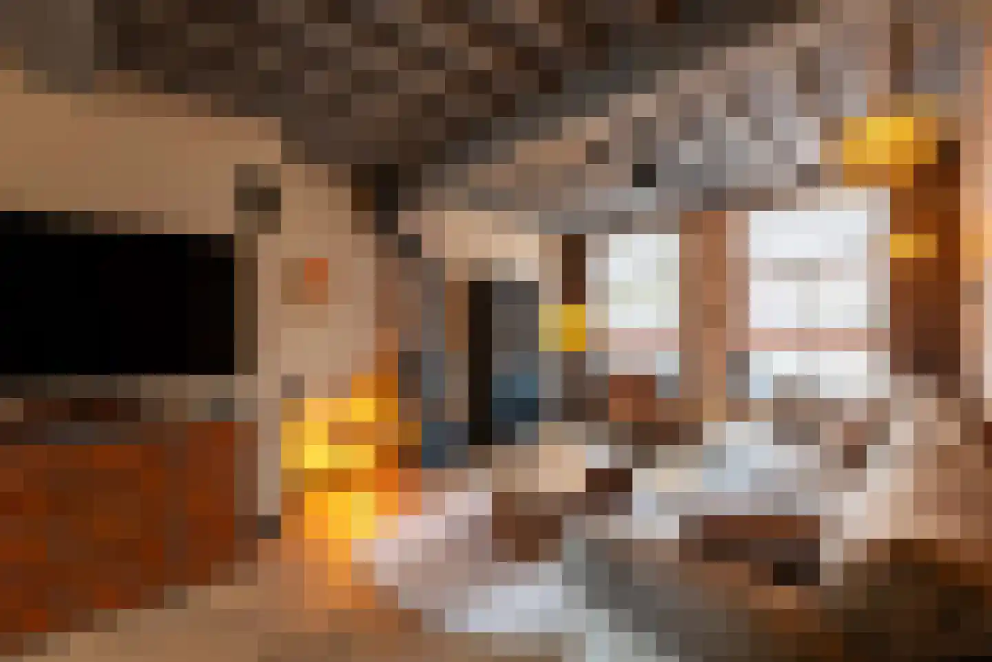 Stenenbeer 11 Vlissingen thumbnail 7