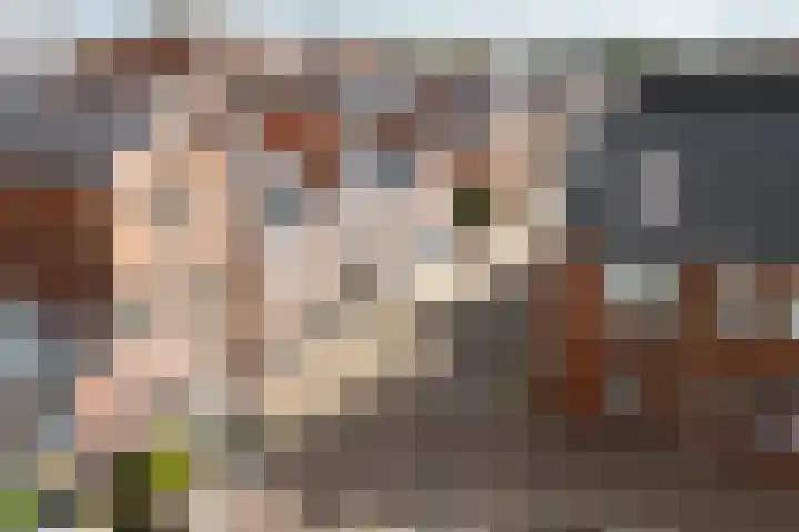 Stenendam 6 Dokkum thumbnail 8