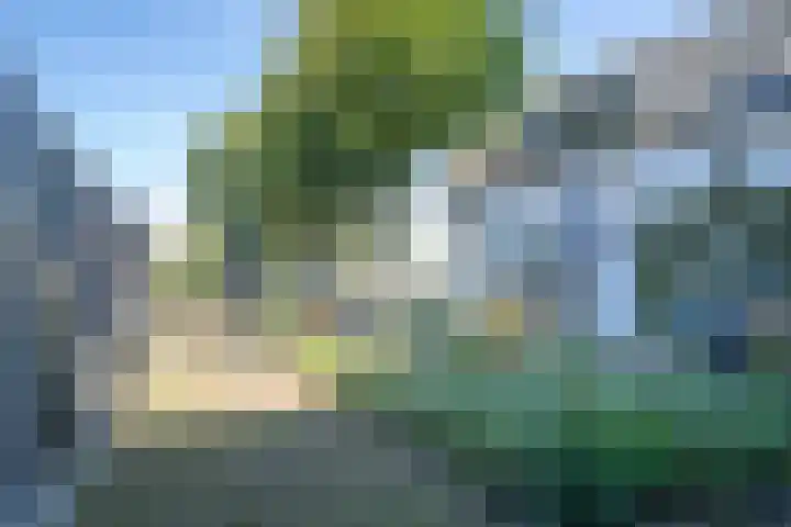Stenendijk 5 Hasselt thumbnail 43
