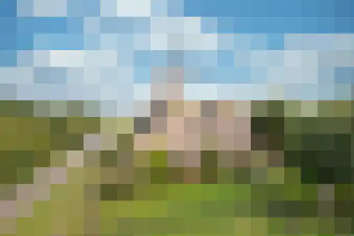 Stenendijk 5 Hasselt thumbnail 6