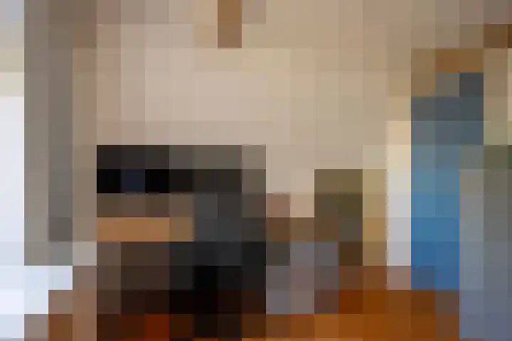 Stenendijk 5 Hasselt thumbnail 65