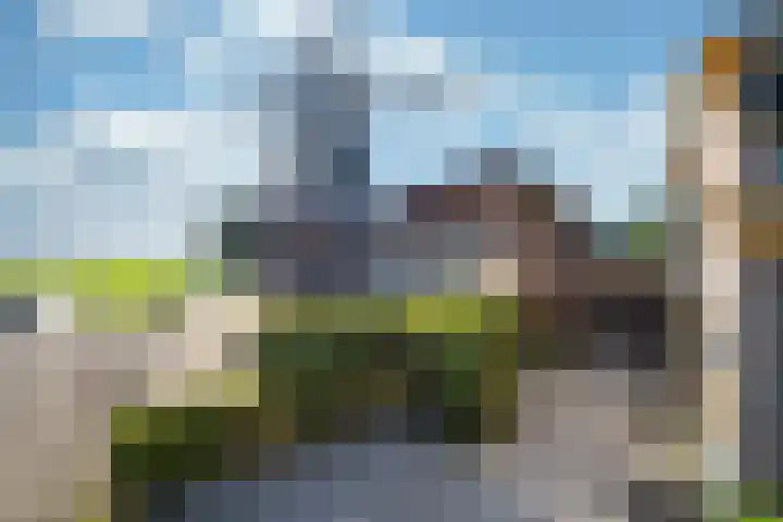 Stenendijk 5 Hasselt thumbnail 9