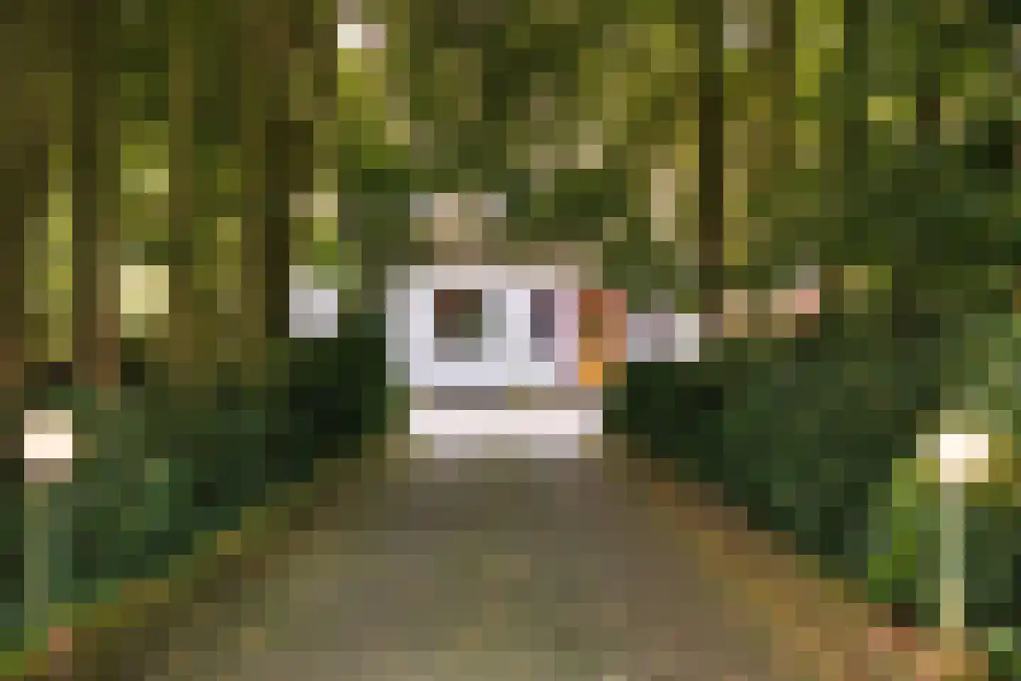 Stenendijk 8 Beerzerveld thumbnail 12
