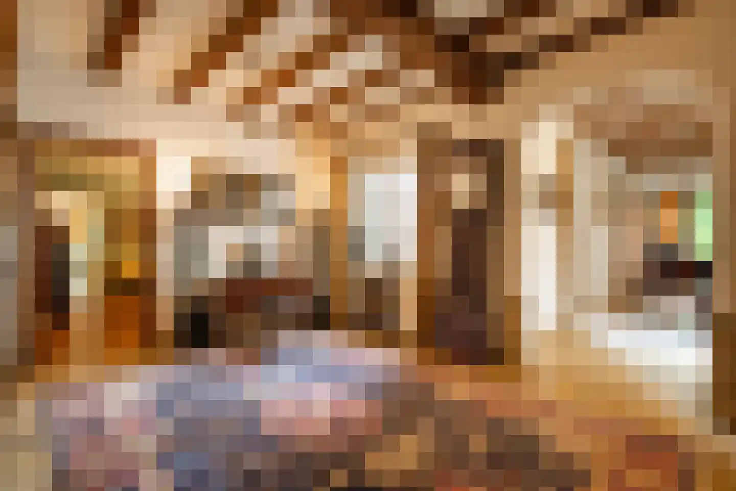 Stenendijk 8 Beerzerveld thumbnail 21