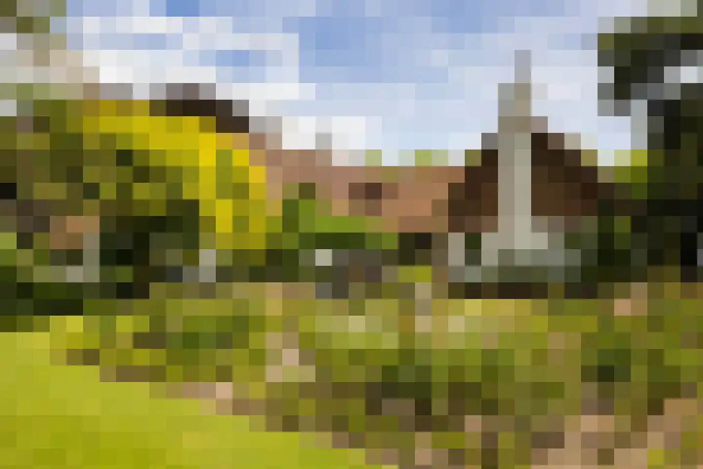 Stenendijk 8 Beerzerveld thumbnail 60