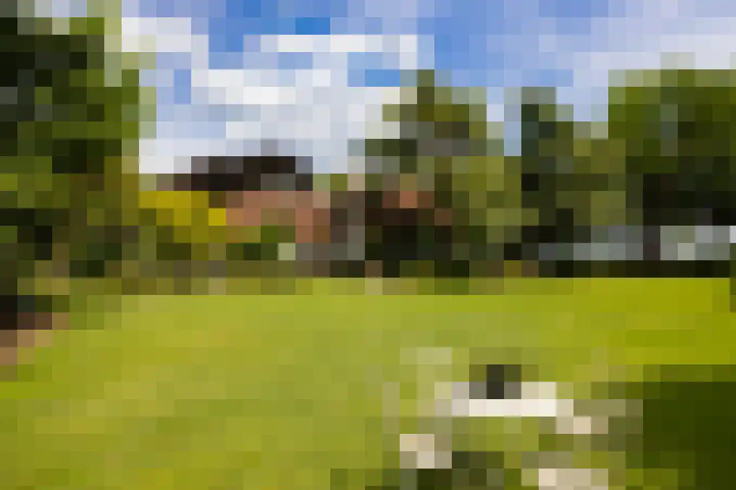 Stenendijk 8 Beerzerveld thumbnail 62