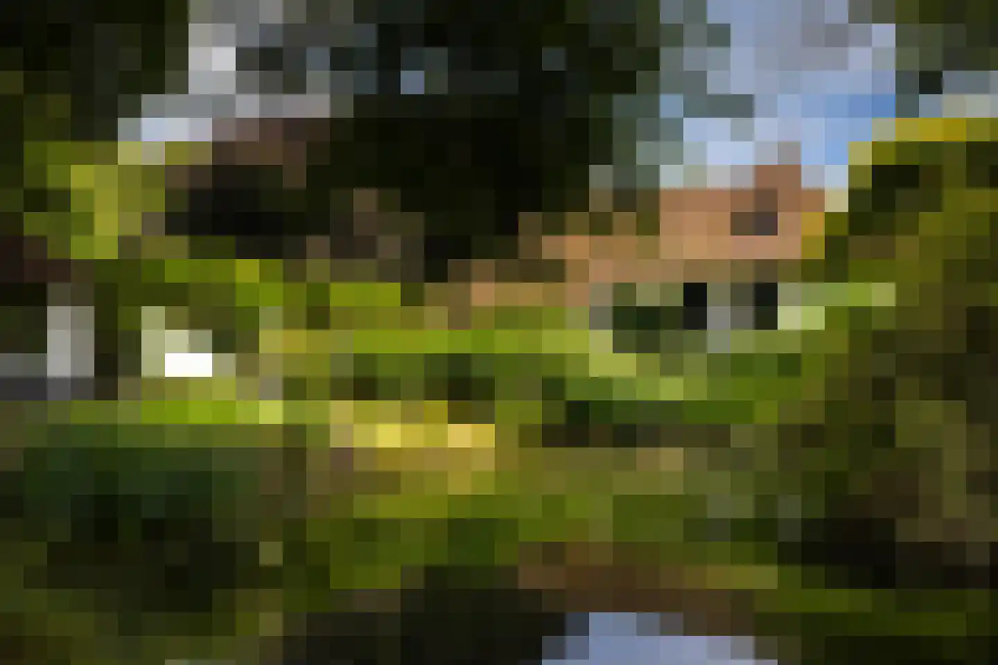 Stenendijk 8 Beerzerveld thumbnail 65