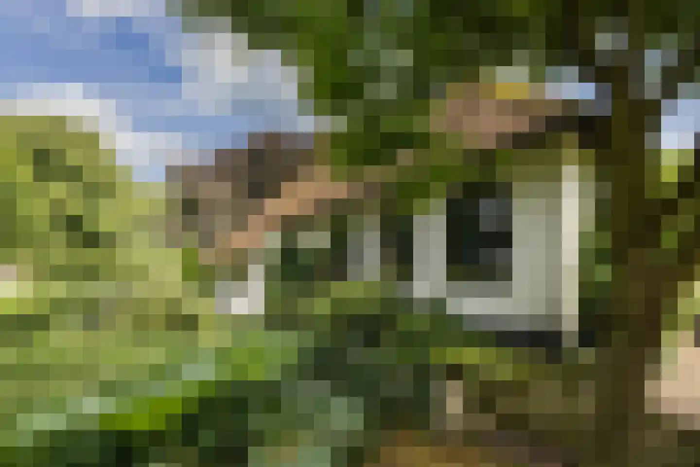 Stenendijk 8 Beerzerveld thumbnail 66
