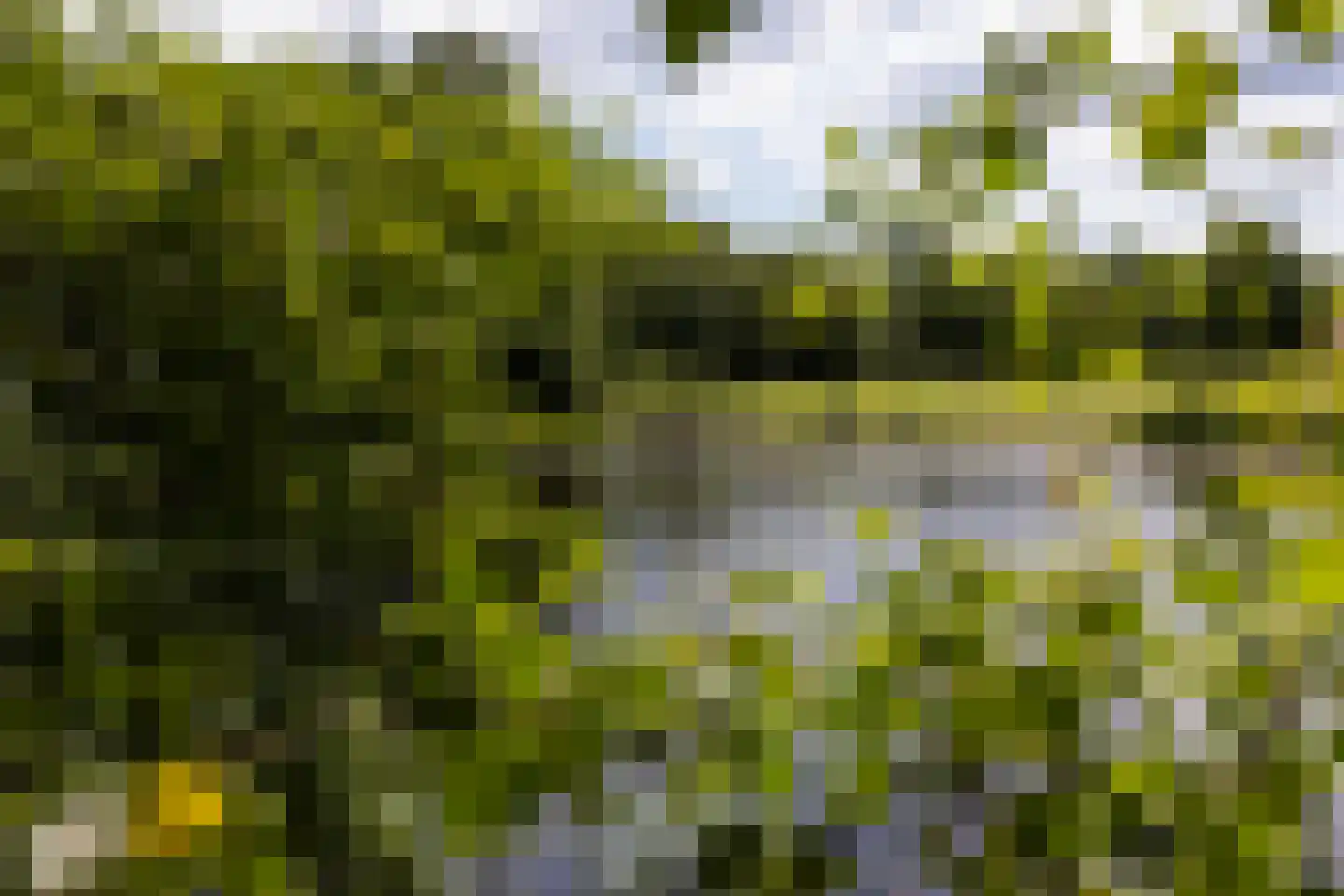 Stenendijk 8 Beerzerveld thumbnail 76