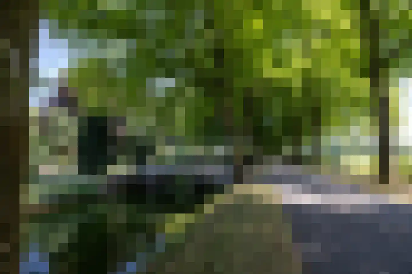 Stenendijk 8 Beerzerveld thumbnail 78