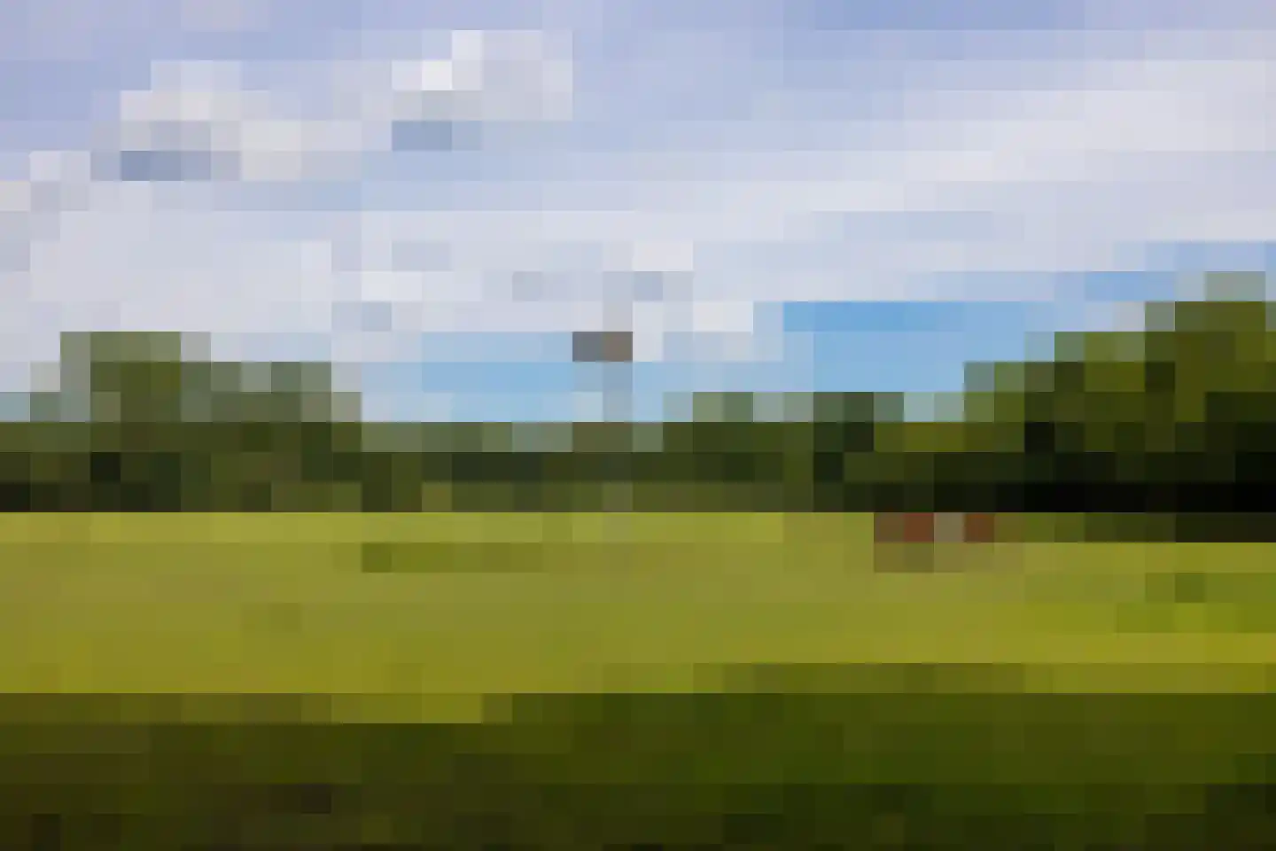 Stenendijk 8 Beerzerveld thumbnail 79