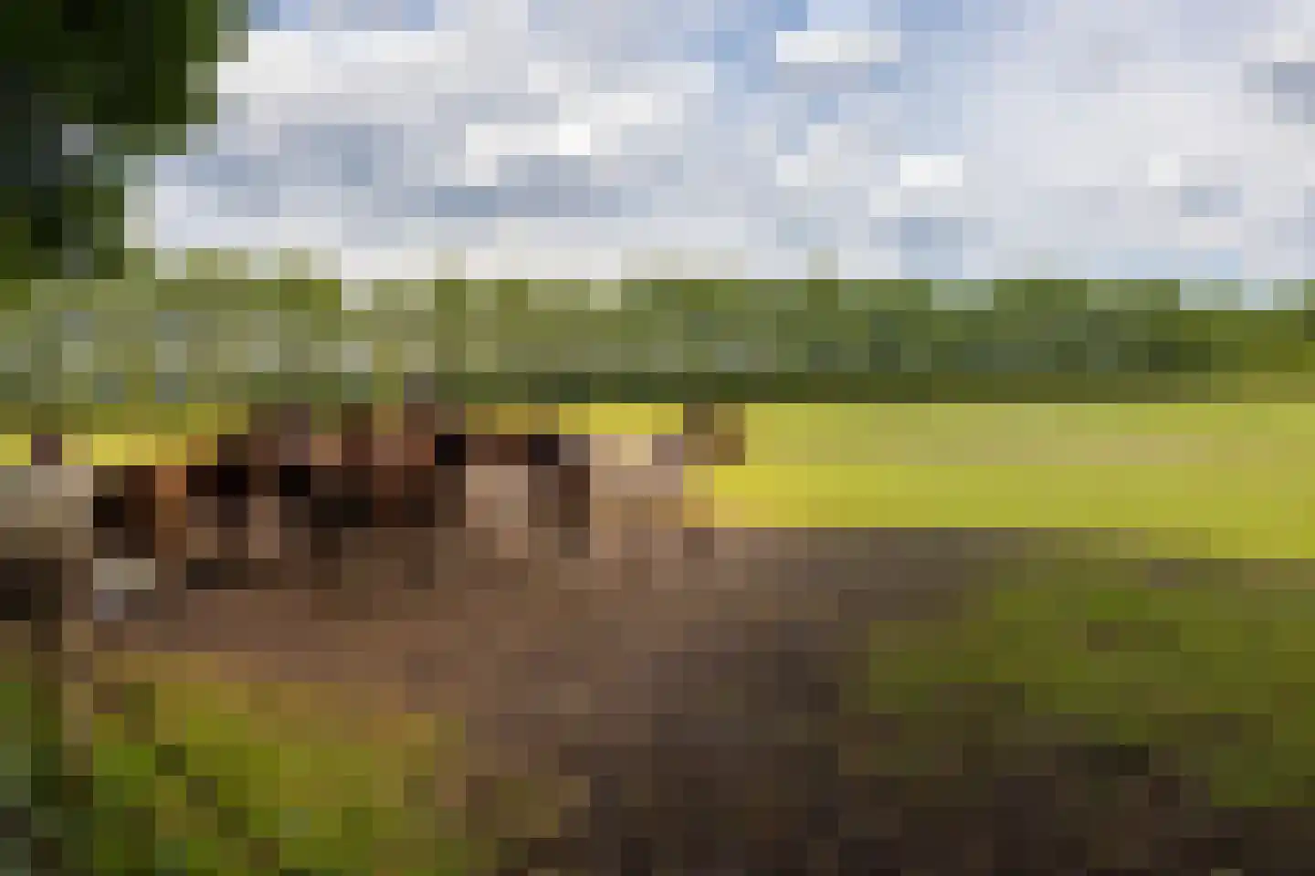 Stenendijk 8 Beerzerveld thumbnail 80