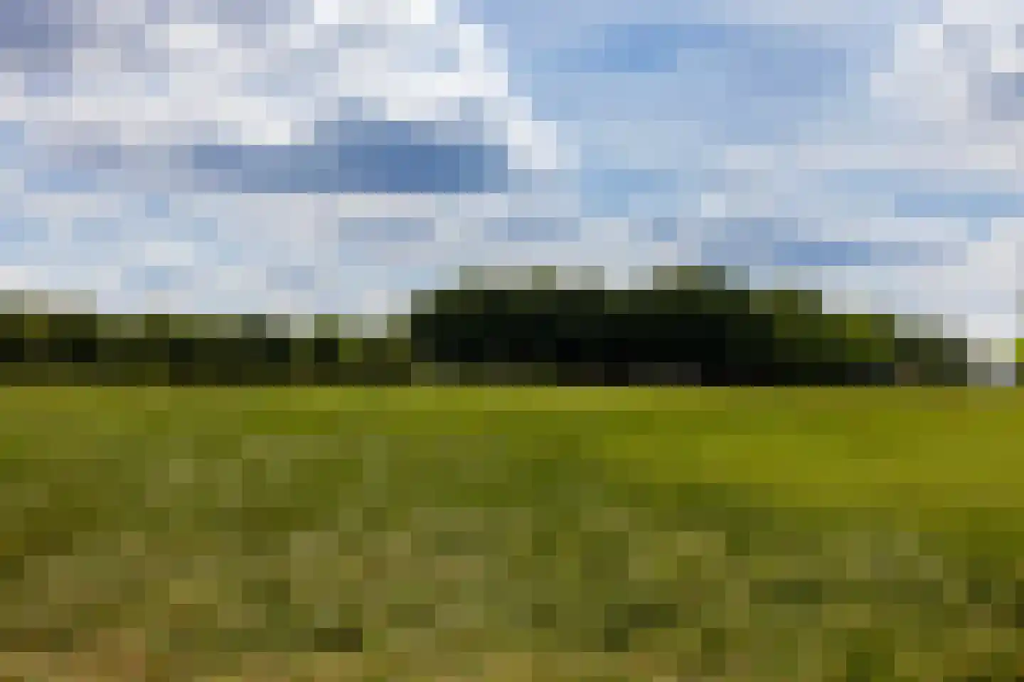 Stenendijk 8 Beerzerveld thumbnail 81