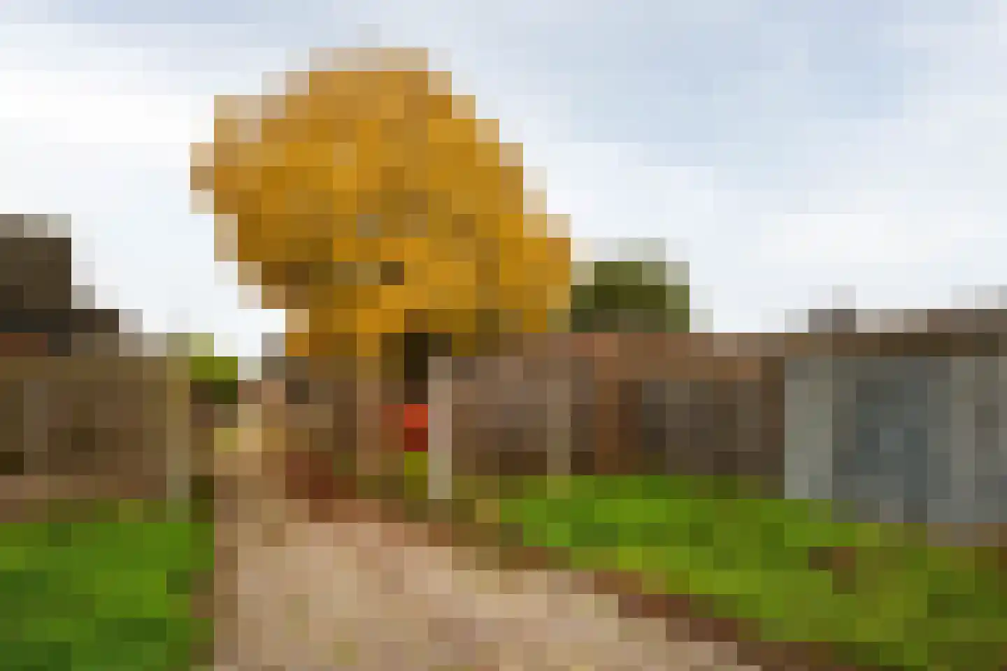 Stenenhoef 16 Ossendrecht thumbnail 30