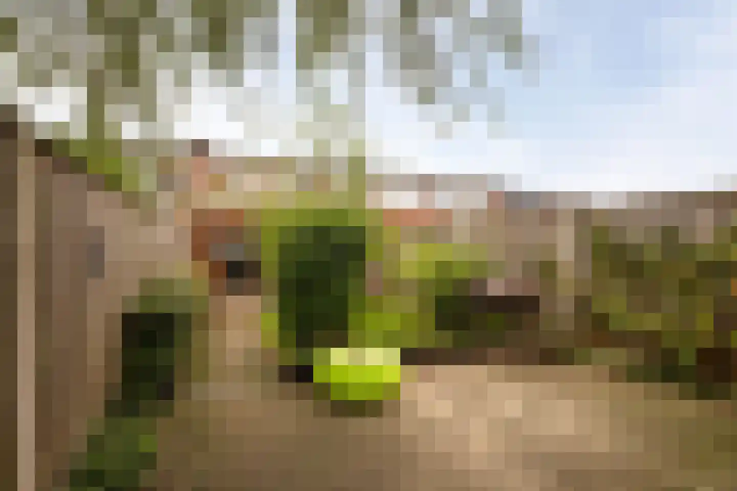 Stenenhoef 16 Ossendrecht thumbnail 4
