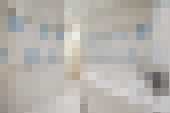 Stenenhoef 17 Ossendrecht thumbnail 12