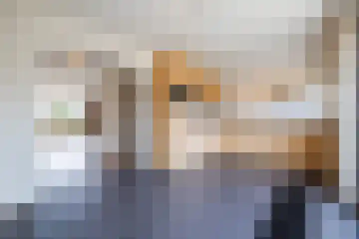 Stenenhoef 17 Ossendrecht thumbnail 4
