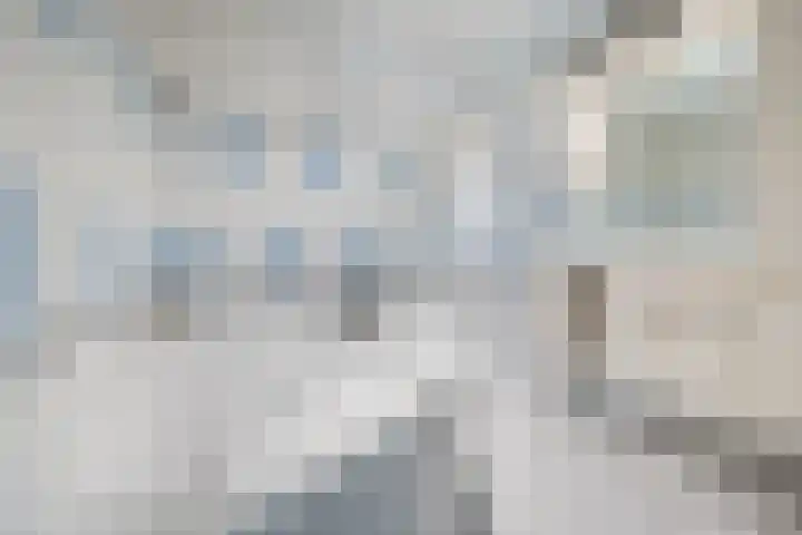 Stenenhoef 17 Ossendrecht thumbnail 5