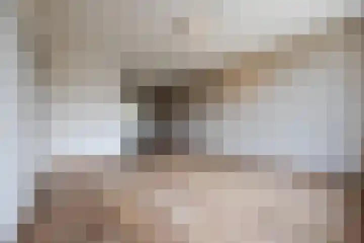 Stenenhoef 17 Ossendrecht thumbnail 6