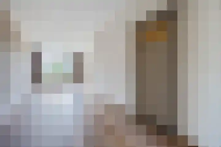 Stenenhoef 17 Ossendrecht thumbnail 8