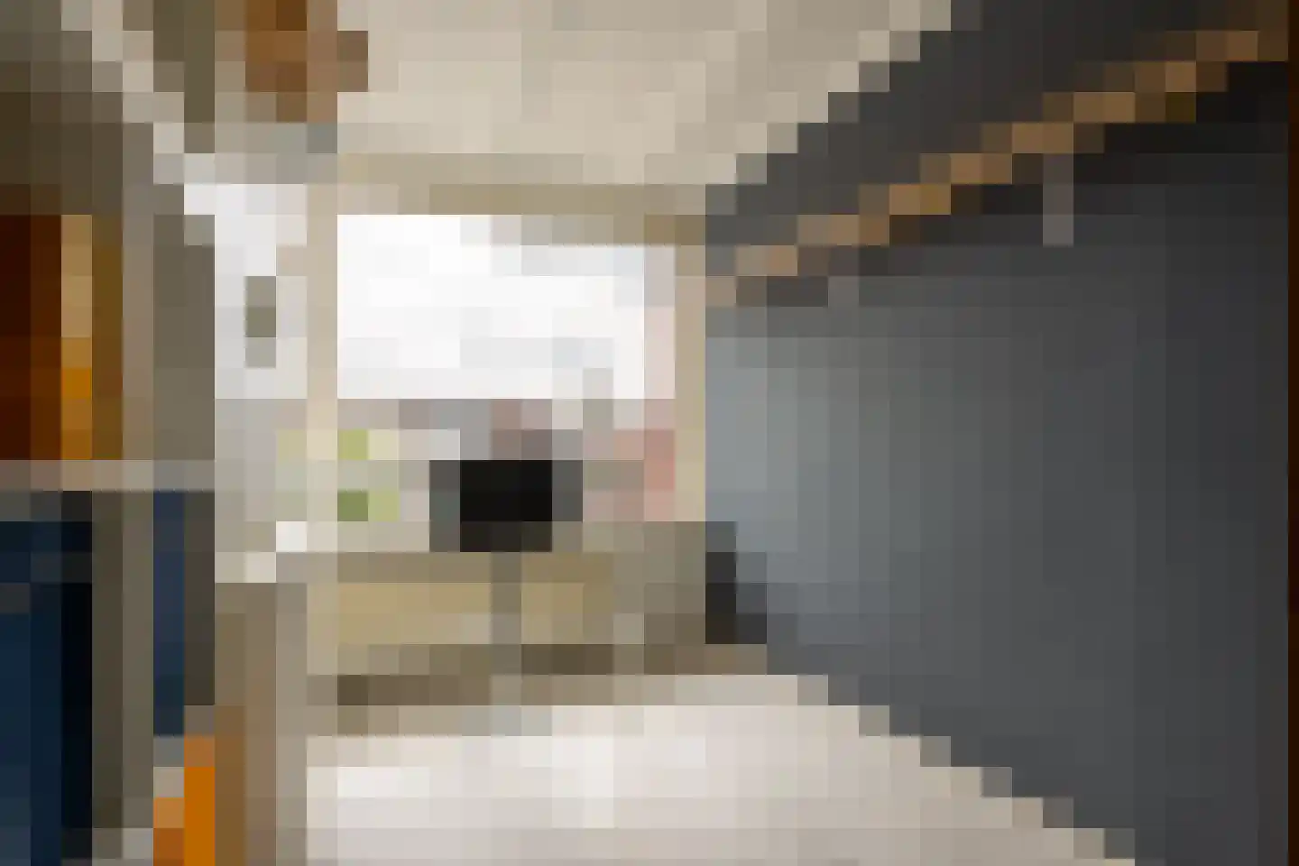 Stenenhoef 27 Ossendrecht thumbnail 17