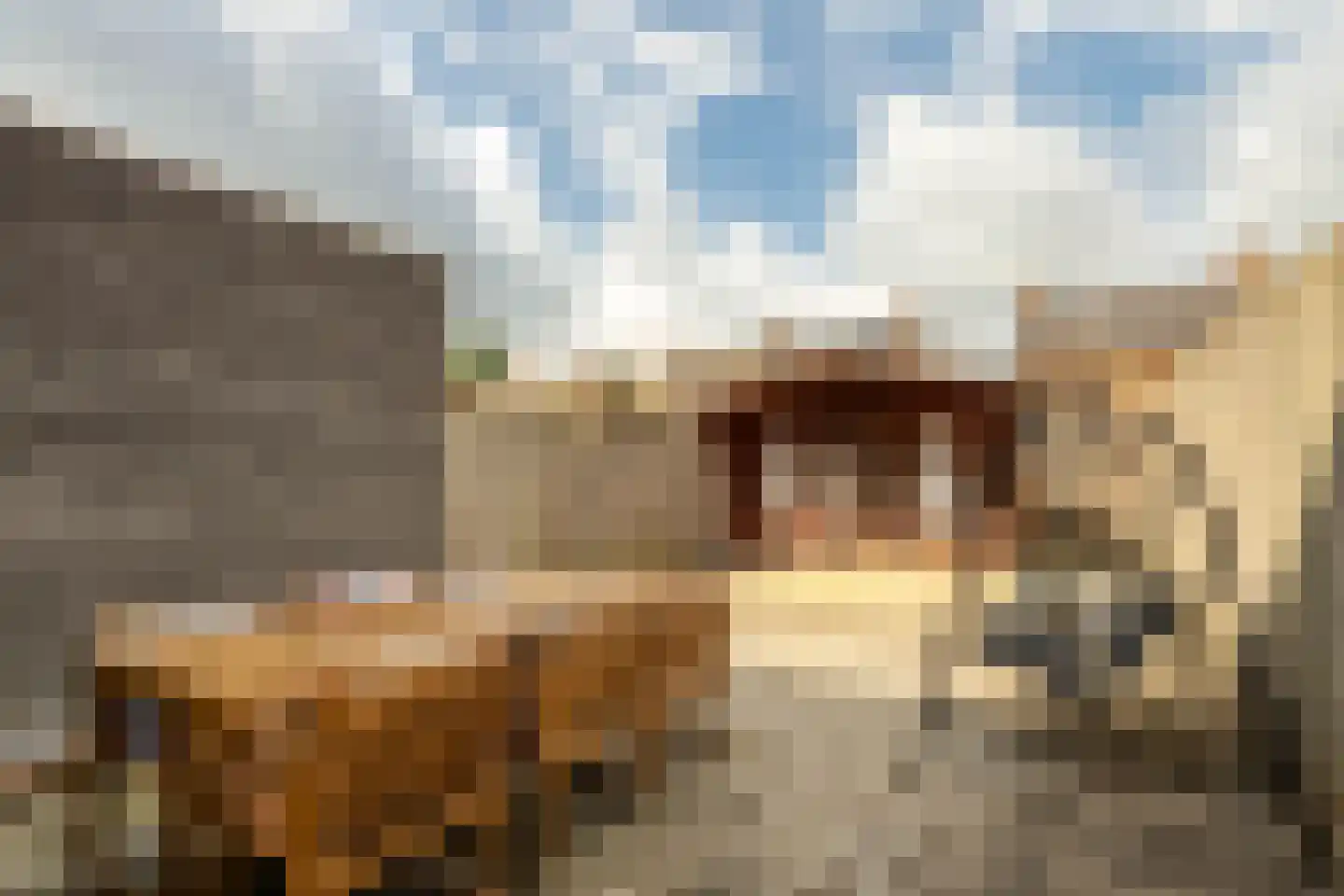 Stenenhoef 27 Ossendrecht thumbnail 5