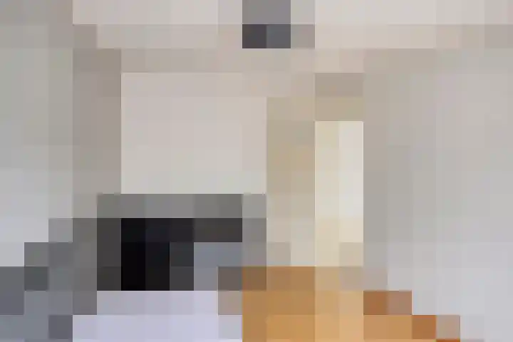 Stenenhoef 29 Ossendrecht thumbnail 23