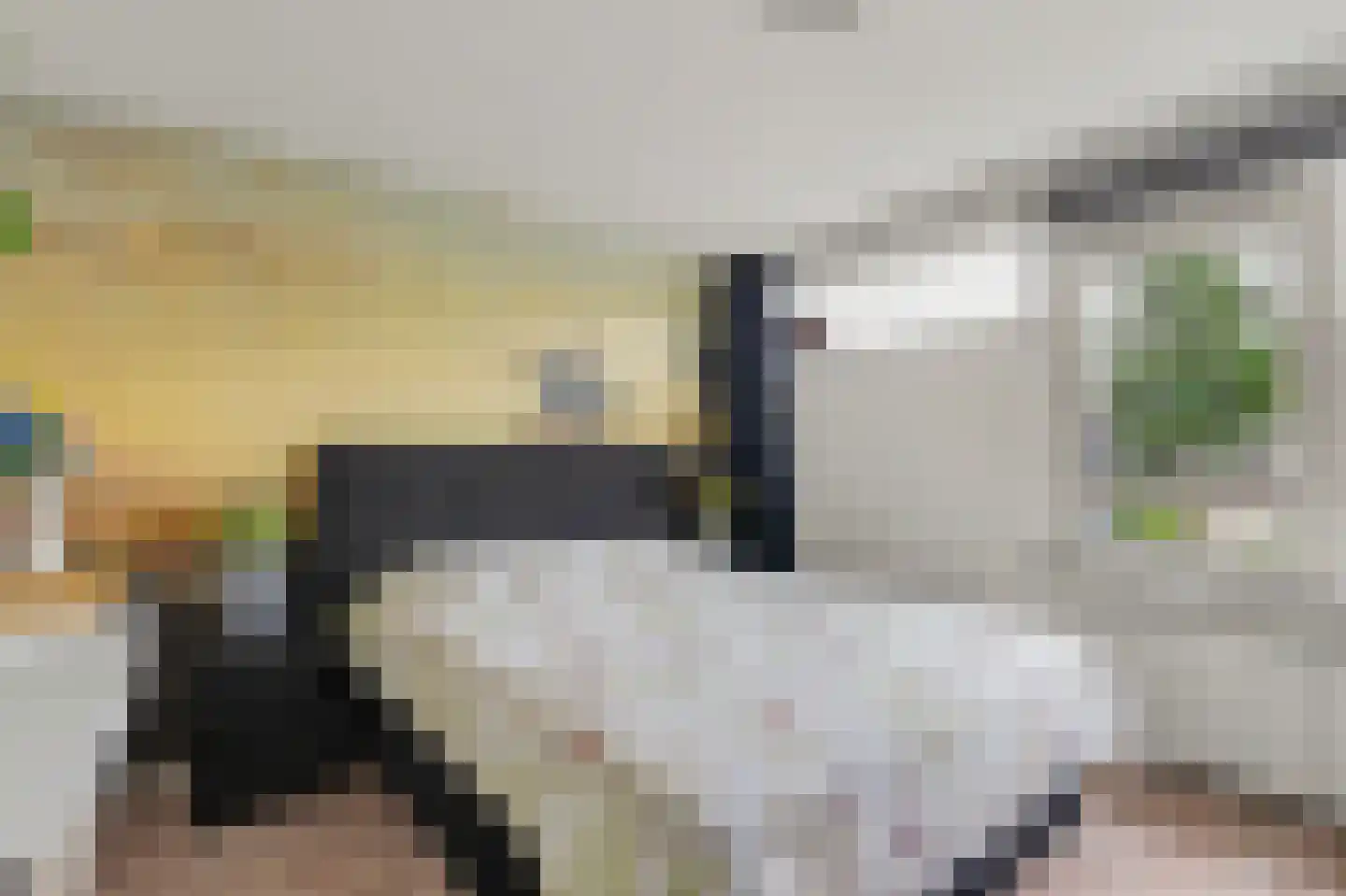 Stenenkamer 4 Zwijndrecht thumbnail 15