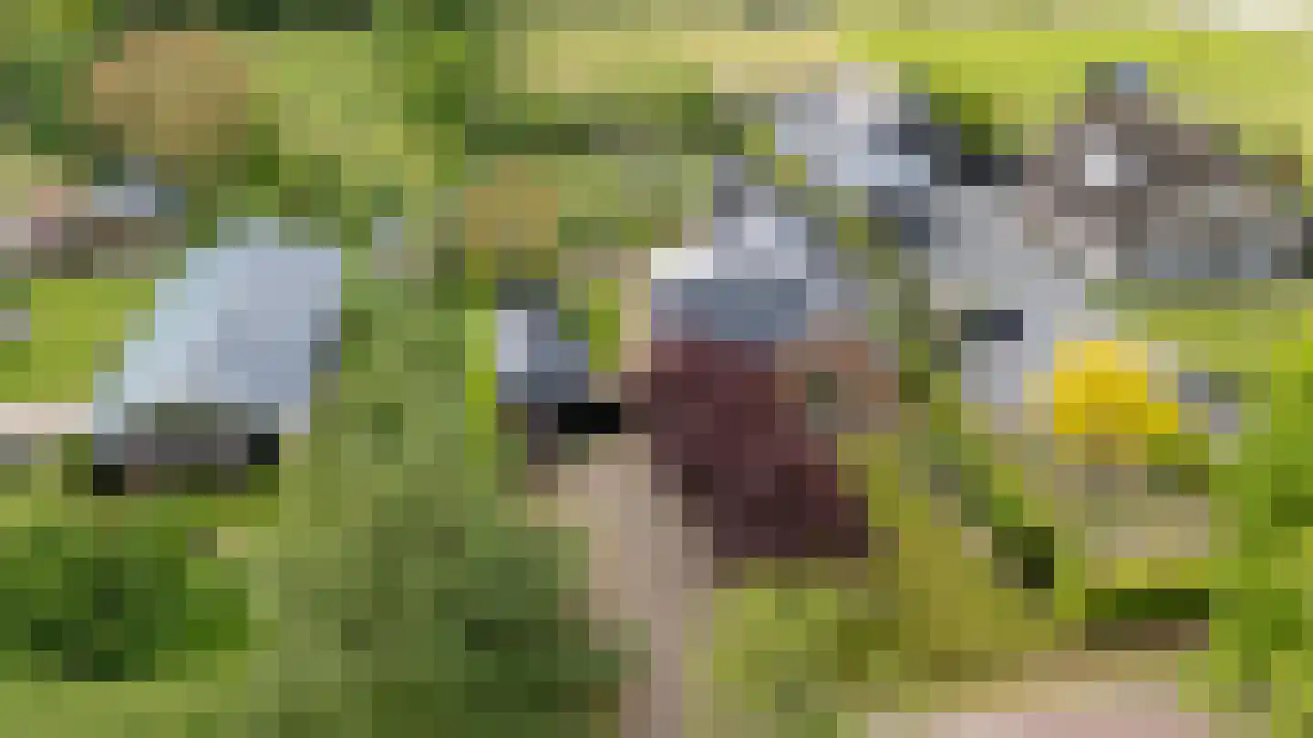 Stenenkamerseweg 37 A Putten thumbnail 4