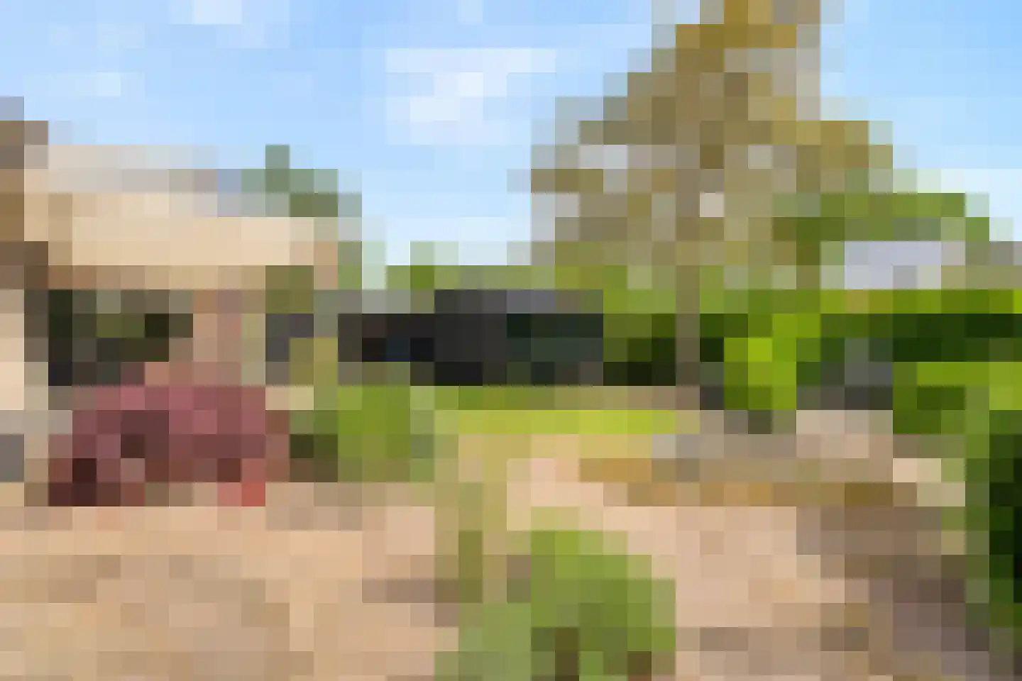 Stenenkamerseweg 37 A Putten thumbnail 57