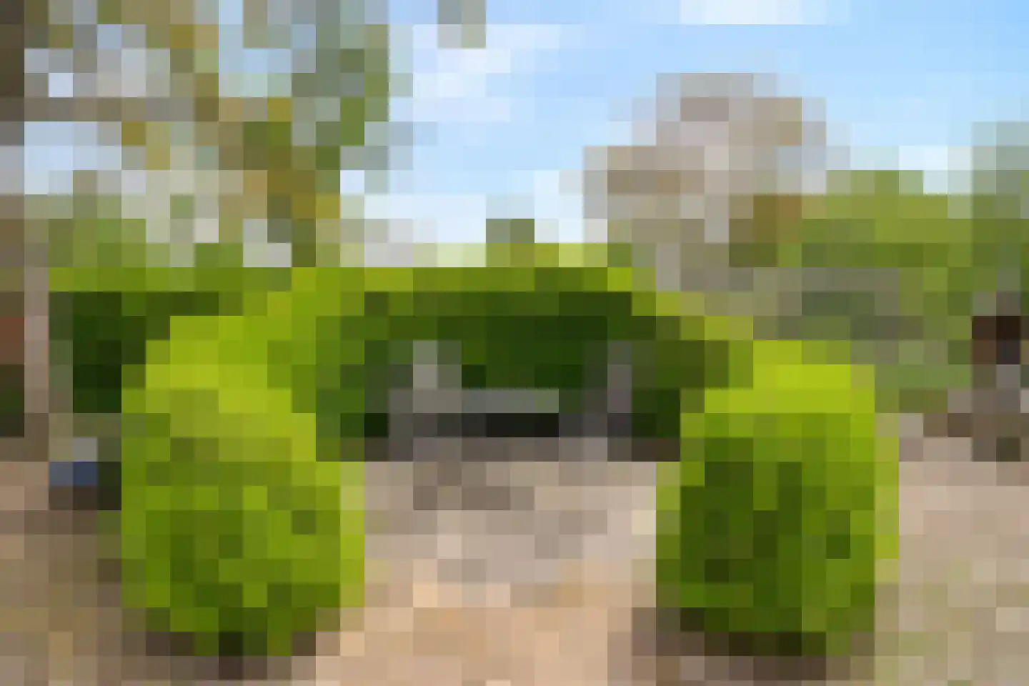 Stenenkamerseweg 37 A Putten thumbnail 58