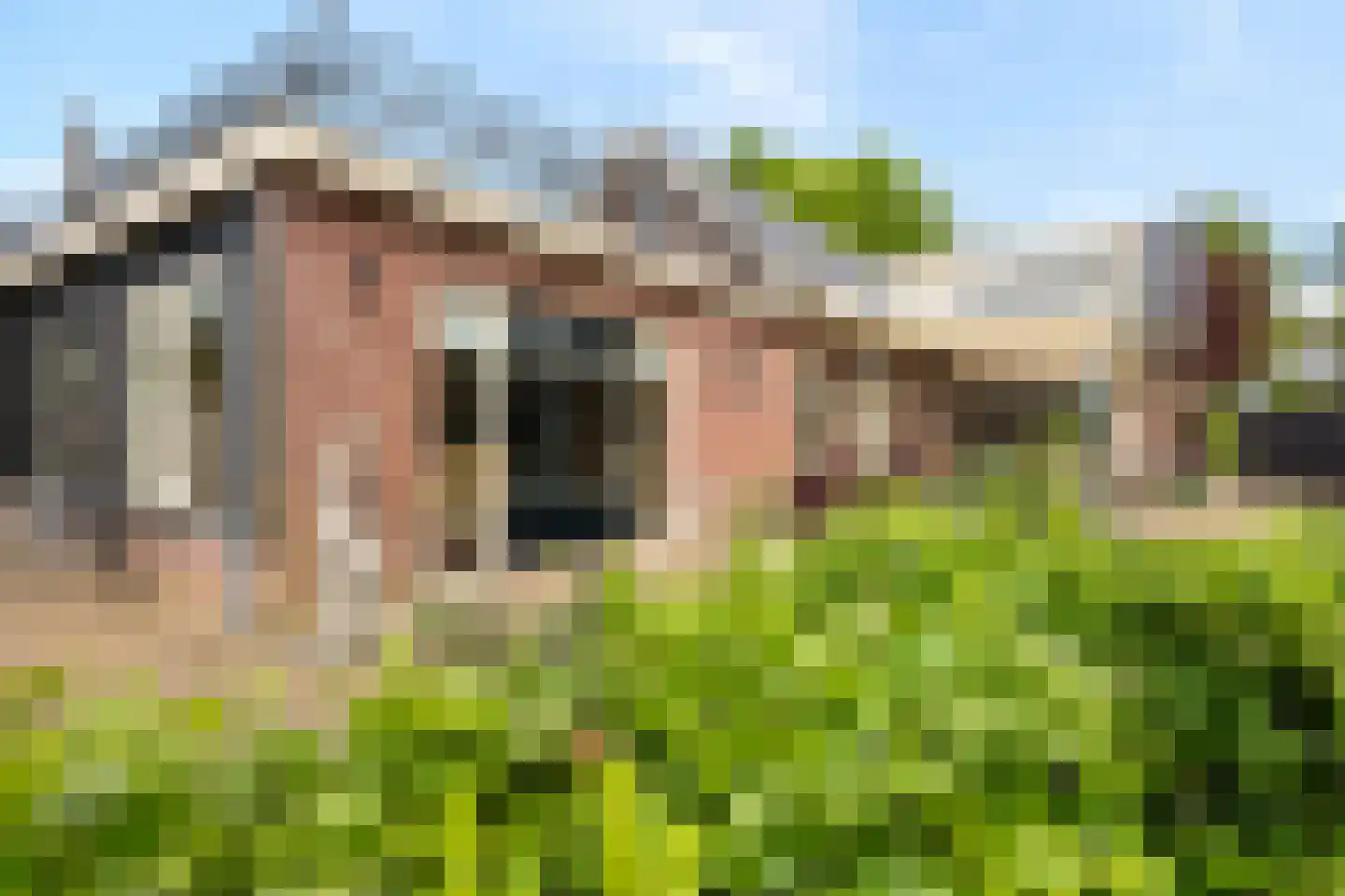 Stenenkamerseweg 37 A Putten thumbnail 6