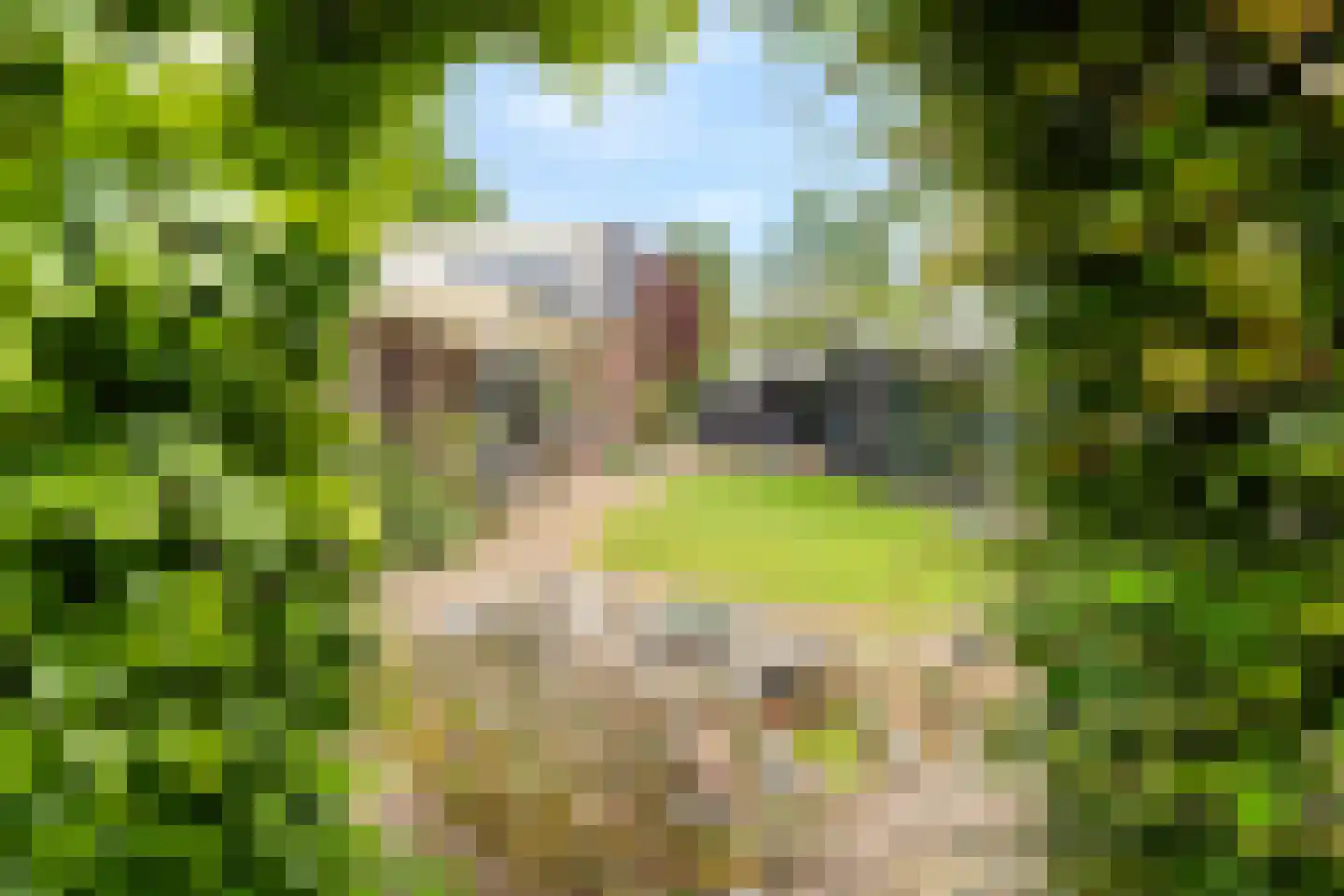Stenenkamerseweg 37 A Putten thumbnail 60